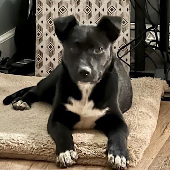 Posh Ambassador for Jane Iredale 🥰 - Picture 13 of 16